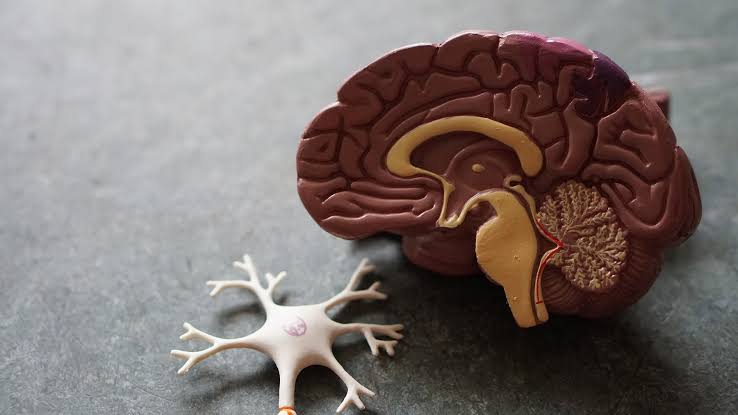 Alzheimer’s Disease